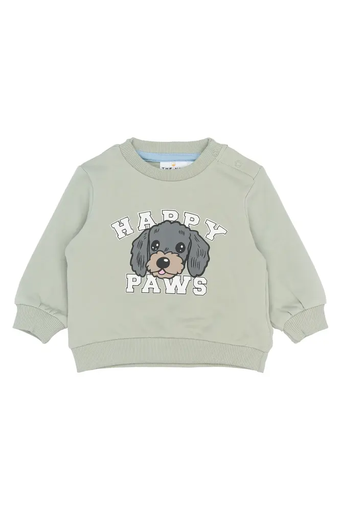 Sacarias Sweatshirt Aqua Gray 80