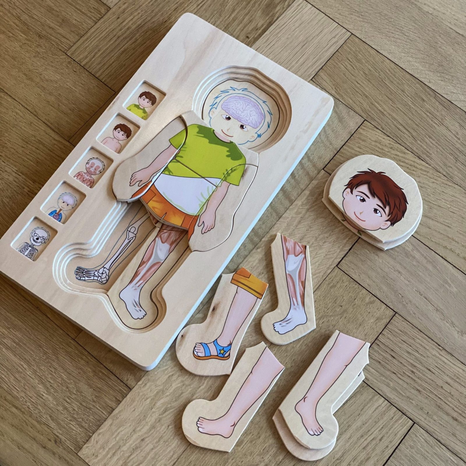 Anatomy Puzzle Dreng Small Foot
