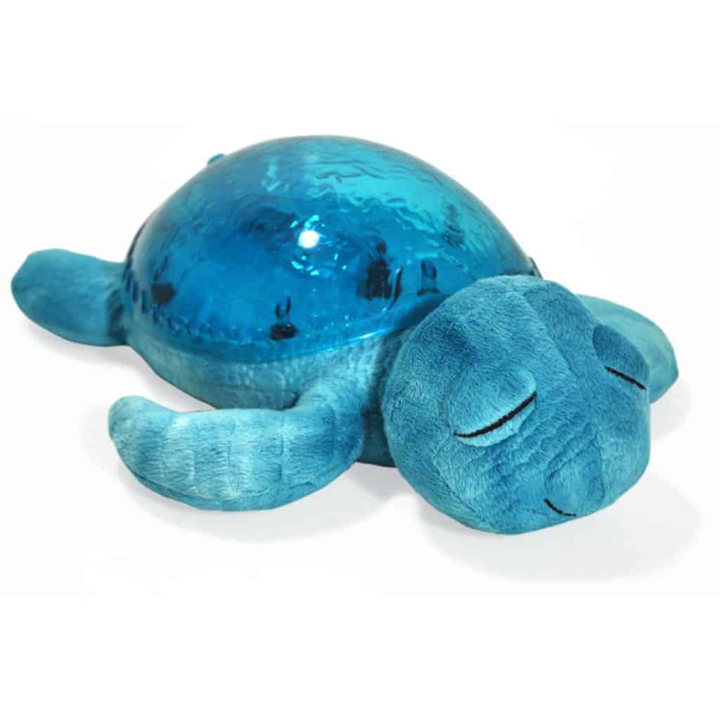 Cloud Tranquil Turtle Aqua