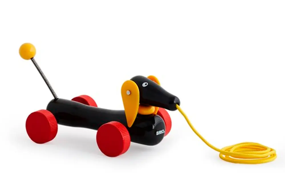 Dachsie  Hund  Pull Along
