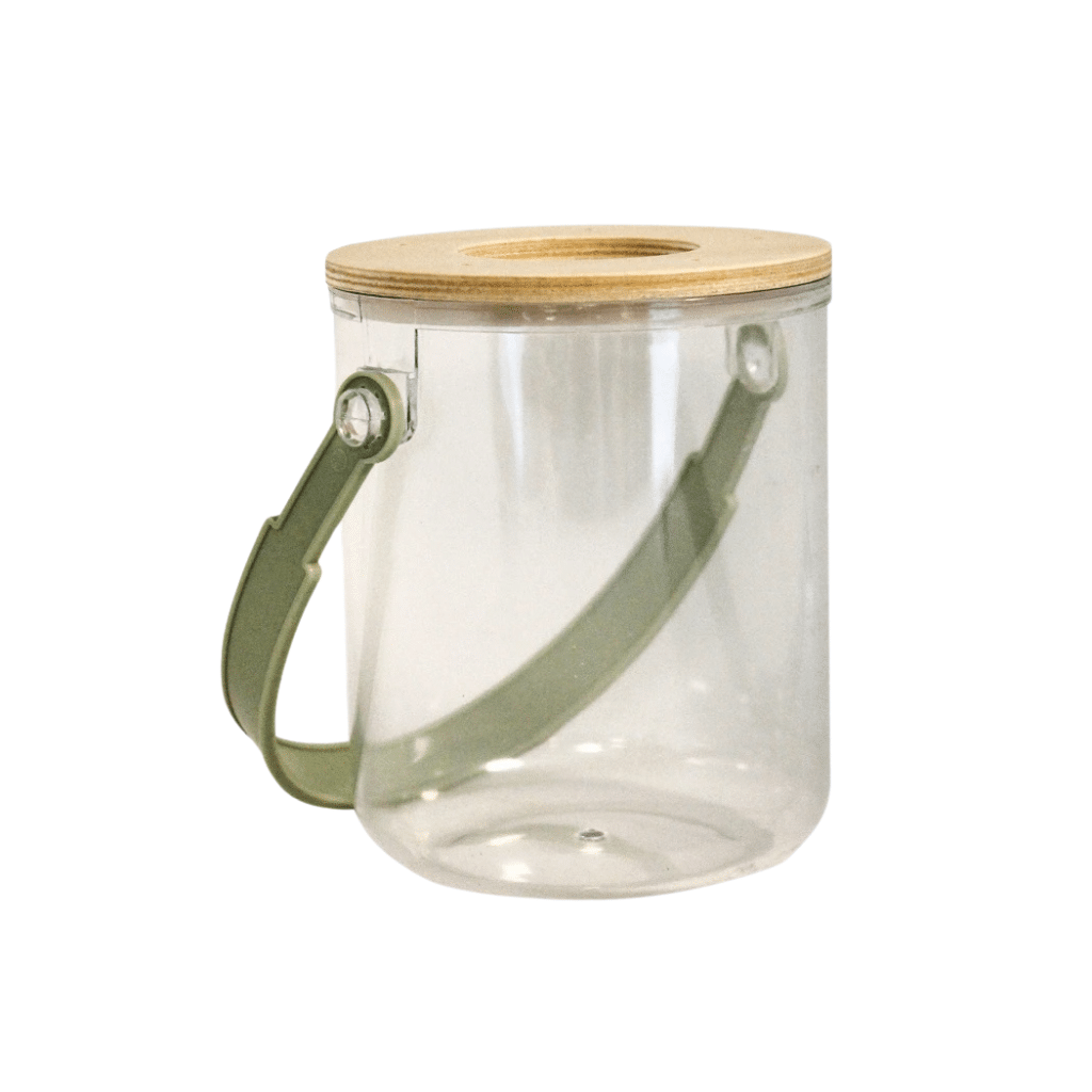 Insektglas Med Forstørrelsesglas Mamamemo