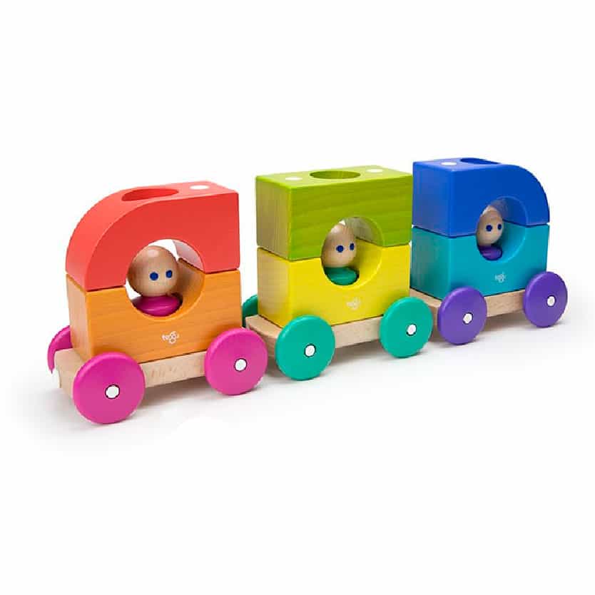 Magnetic Tram Tegu