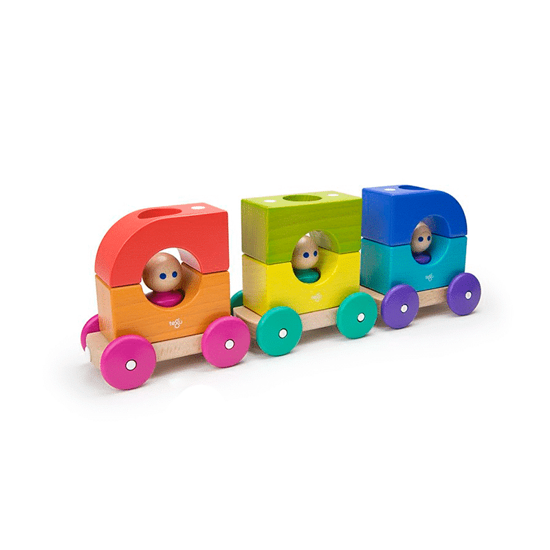 Magnetic Tram Tegu