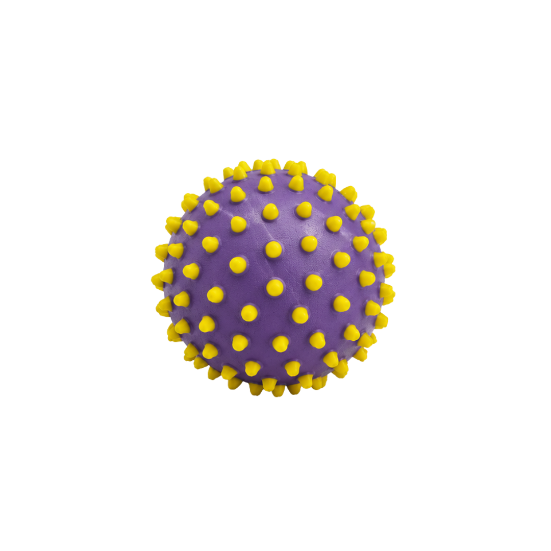 Edushape Senso-dot Balls 10 Cm   Stk Lilla