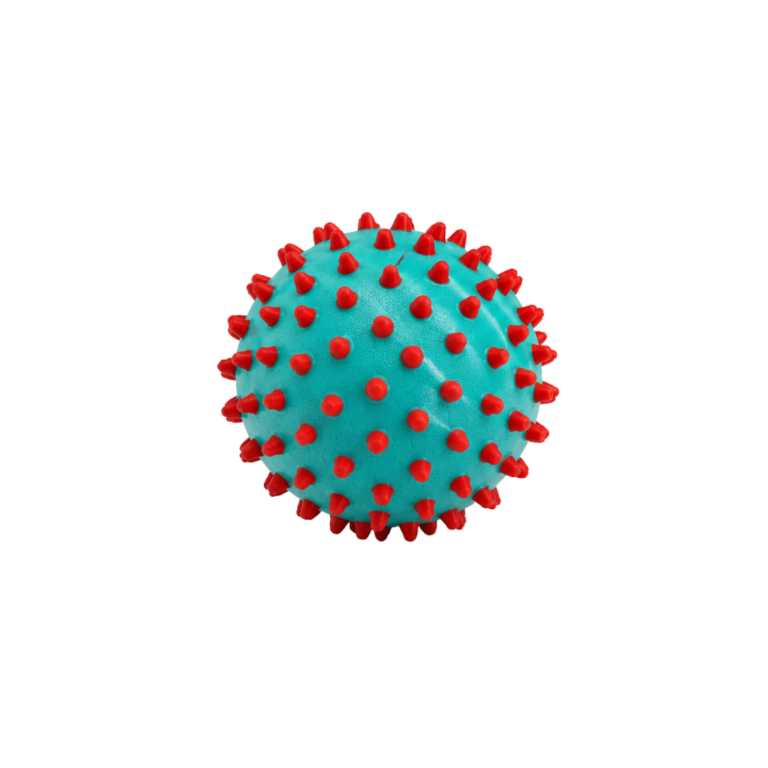 Edushape Senso-dot Balls 10 Cm   Stk Turkis