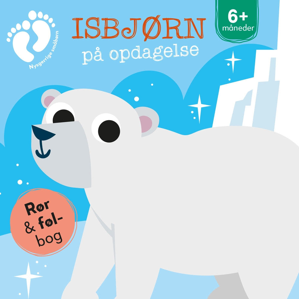 Isbjørn På Opdagelse