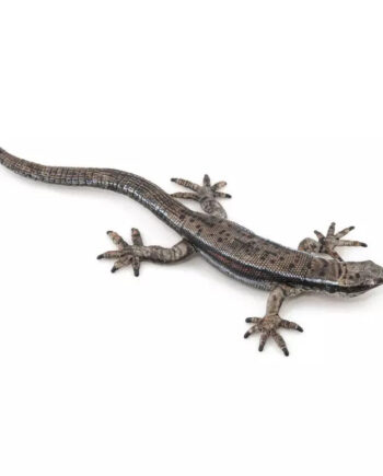 Papo Figur Lizard