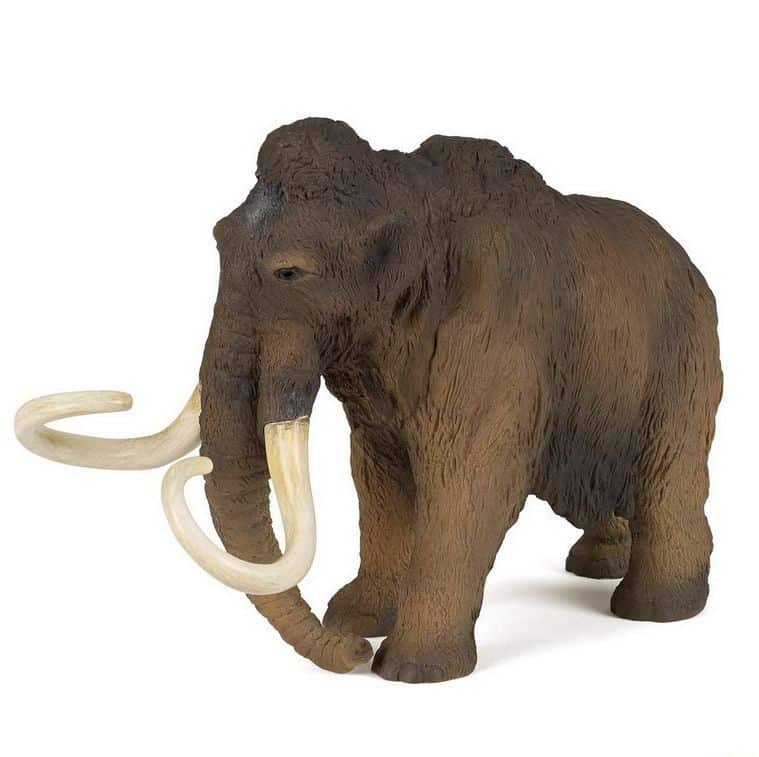 Papo Mammut