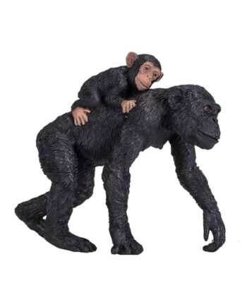 Chimpanse Og Unge Mojo