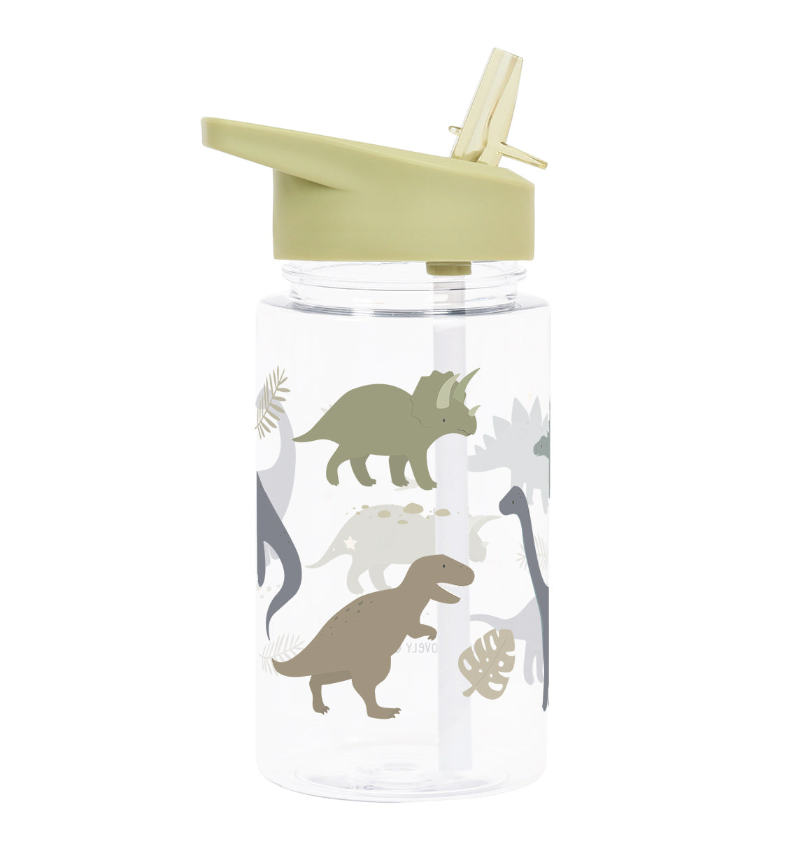 Drink Bottle Dinosaurs