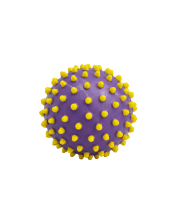 Edushape Senso-dot Balls 10 Cm   Stk Lilla