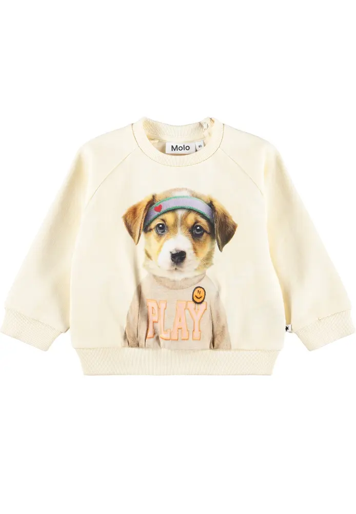 Molo Disc Sweatshirt Game Pup 92