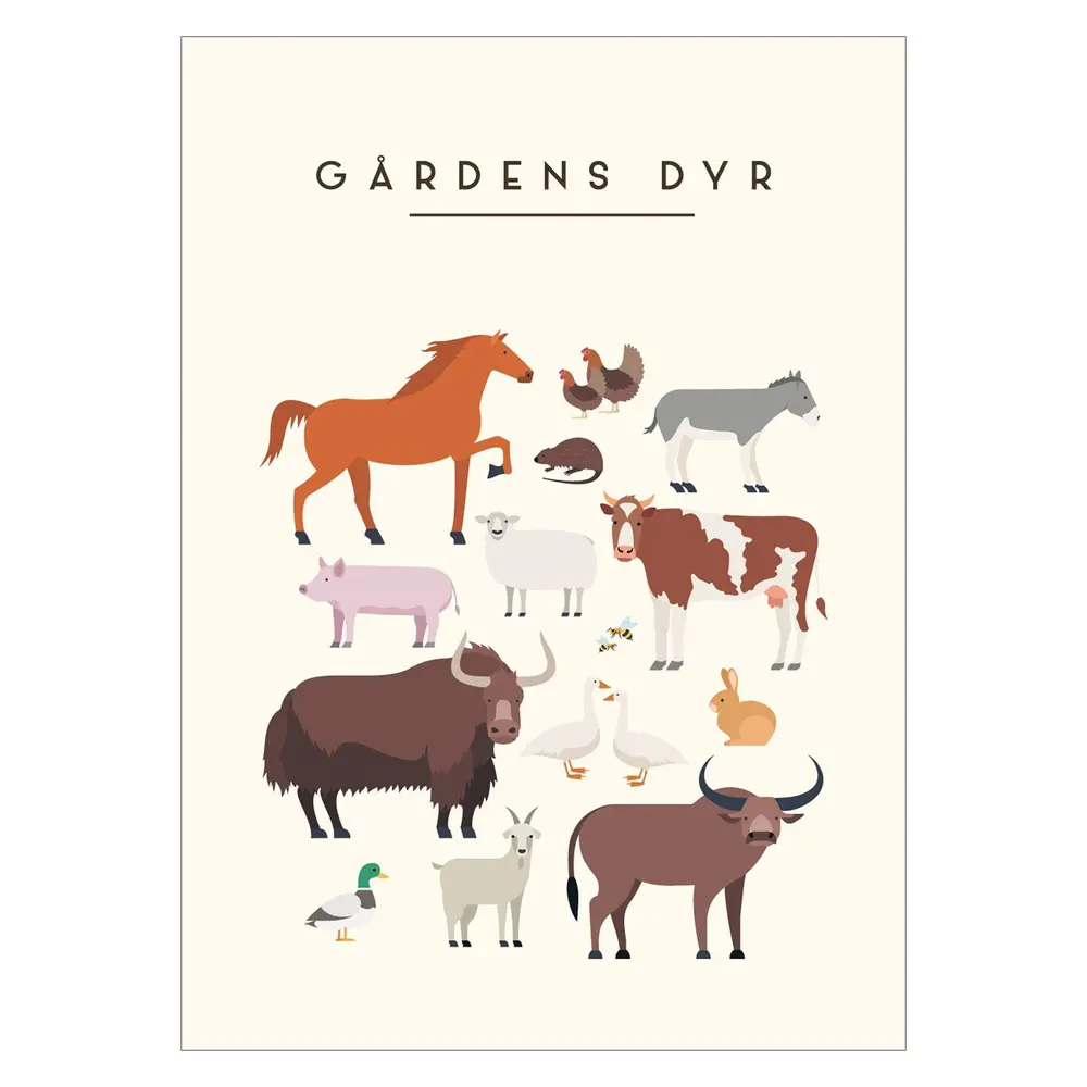 Plakat Ga Cc 8ardens Dyr A3